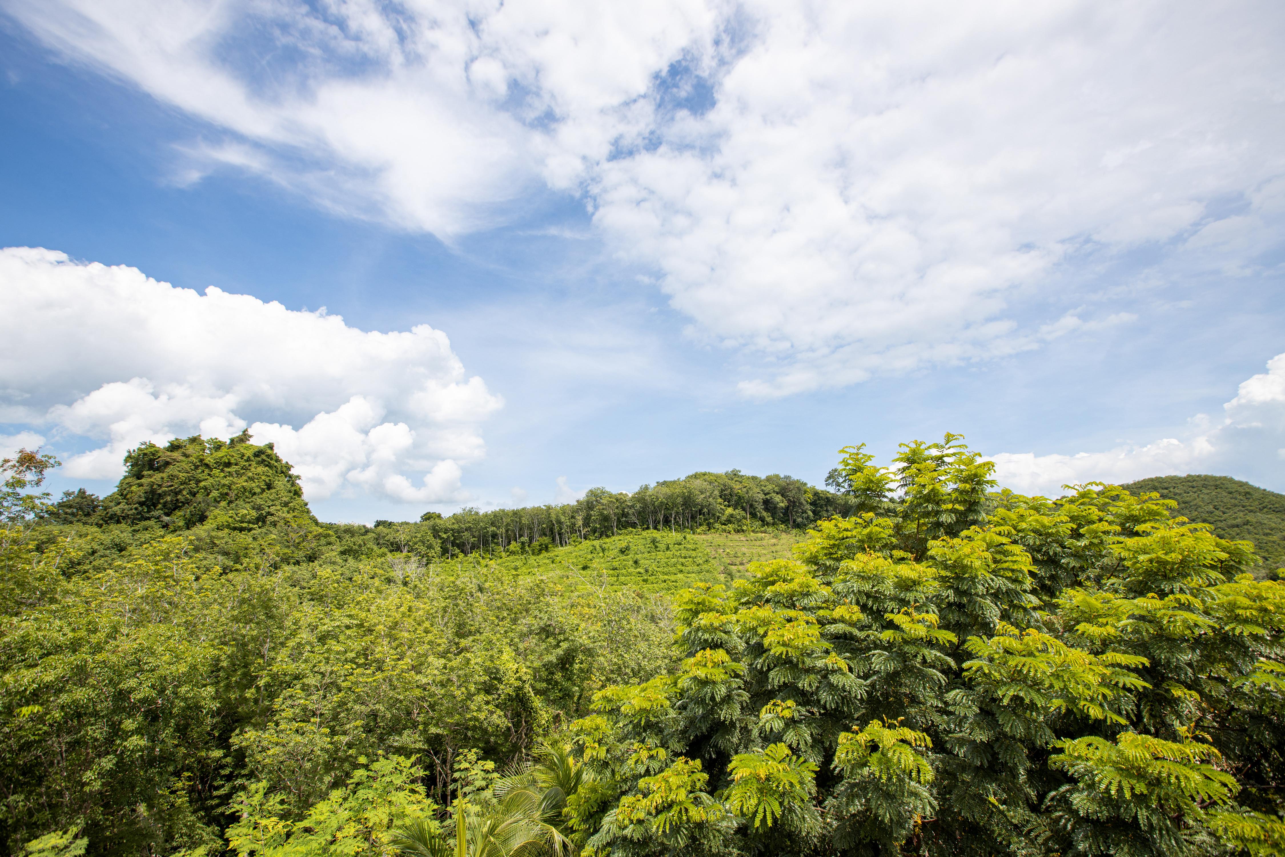 Samsam Yao Noi - Andaman Magic & Art Villas Яо-Ной Экстерьер фото